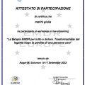 Ingrandire l'immagine: certificate 8