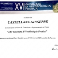 Ingrandire l'immagine: certificate 13