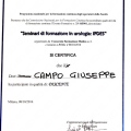 Ingrandire l'immagine: certificate 49