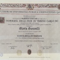 Ingrandire l'immagine: certificate 2