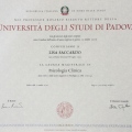 Ingrandire l'immagine: certificate 2