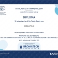 Ingrandire l'immagine: certificate 4
