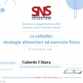 Ingrandire l'immagine: certificate 6
