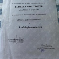 Ingrandire l'immagine: certificate 1