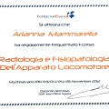 Ingrandire l'immagine: certificate 8