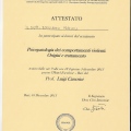 Ingrandire l'immagine: certificate 2