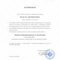 Ingrandire l'immagine: certificate 2