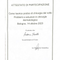 Ingrandire l'immagine: certificate 10
