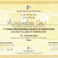Ingrandire l'immagine: certificate 3