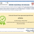 Ingrandire l'immagine: certificate 4