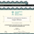 Ingrandire l'immagine: certificate 5