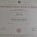 Ingrandire l'immagine: certificate 1