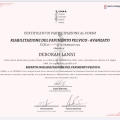 Ingrandire l'immagine: certificate 7