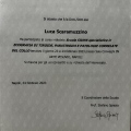 Ingrandire l'immagine: certificate 2