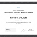 Ingrandire l'immagine: certificate 8
