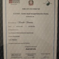 Ingrandire l'immagine: certificate 4