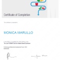 Ingrandire l'immagine: certificate 1