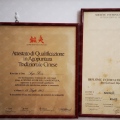 Ingrandire l'immagine: certificate 6