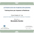 Ingrandire l'immagine: certificate 4