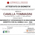 Ingrandire l'immagine: certificate 4