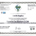 Ingrandire l'immagine: certificate 2
