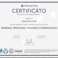 Ingrandire l'immagine: certificate 1