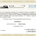 Ingrandire l'immagine: certificate 21