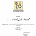 Ingrandire l'immagine: certificate 2