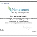 Ingrandire l'immagine: certificate 1
