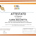 Ingrandire l'immagine: certificate 9