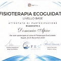 Ingrandire l'immagine: certificate 11