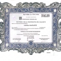 Ingrandire l'immagine: certificate 13
