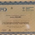 Ingrandire l'immagine: certificate 5