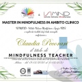 Ingrandire l'immagine: certificate 1