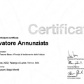 Ingrandire l'immagine: certificate 2