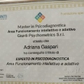 Ingrandire l'immagine: certificate 2
