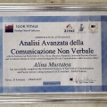 Ingrandire l'immagine: certificate 6