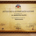 Ingrandire l'immagine: certificate 16