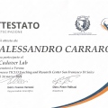 Ingrandire l'immagine: certificate 1