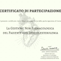 Ingrandire l'immagine: certificate 2
