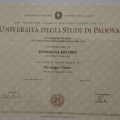 Ingrandire l'immagine: certificate 4