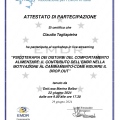 Ingrandire l'immagine: certificate 6