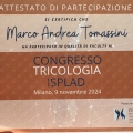 Ingrandire l'immagine: certificate 9