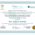 Ingrandire l'immagine: certificate 3