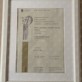 Ingrandire l'immagine: certificate 1