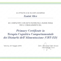 Ingrandire l'immagine: certificate 8