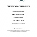 Ingrandire l'immagine: certificate 62