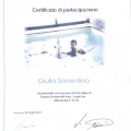 Ingrandire l'immagine: certificate 5