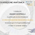 Ingrandire l'immagine: certificate 11