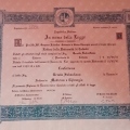 Ingrandire l'immagine: certificate 1